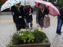 雨の中、コンテナを観察しているところ