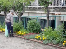 線路と向かい側の花壇
