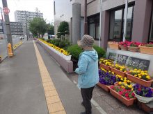 建物前の道路のプランターの花