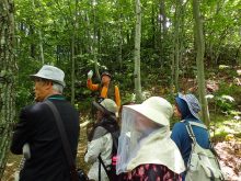 林の中の見学の様子