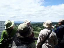 わたなべ山山頂の眺め
