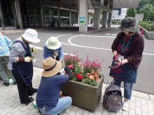 班で担当するコンテナの補植を検討しているところ