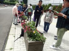 捕植が必要か検討しているところ