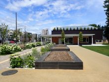 豊平公園センター横花壇植栽前