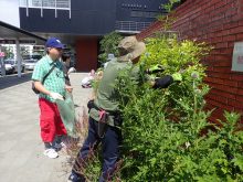 バラの花後のメンテナンスを教わっているところ