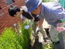 花後の茎のきり方を教わっているところ