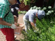 丁寧なメンテナンス