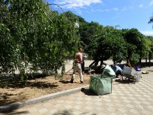 月寒公園のボート池前のシダレザクラとフジの間の花壇の除草の様子