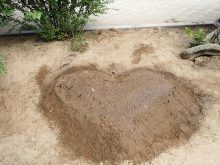 たねダンゴで模様を描く花壇の土台（ハート型が完成）