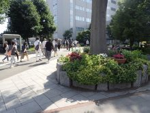 ＪＲ桑園駅側の入口の花壇