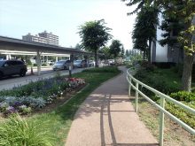 玄関周辺の花壇