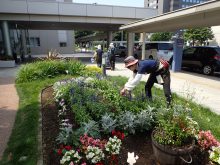 市立病院入口周辺の花壇