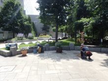 入口周辺のコンテナ