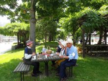 木陰でお茶の時間