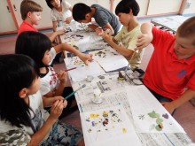 OLYMPUS DIGITAL CAMERA