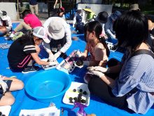 たねダンゴづくりをおしえているところ