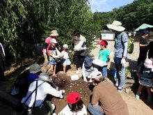 花壇にたねダンゴを植えているところ