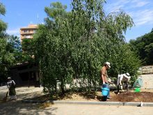 サポーターが花壇整備しているところ