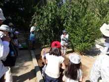 花壇にたねダンゴを植えているところ