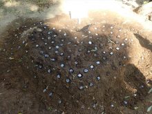 ハート型に植え終わったところ