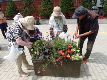 OLYMPUS DIGITAL CAMERA