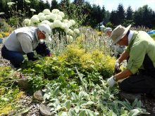 メンテナンス中の男性