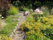 道沿いの宿根草のメンテナンスを行っているところ