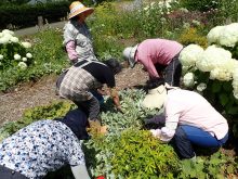 メンテナンスの様子