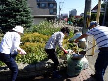 レイズドベッドの花壇