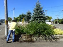 メンテナンスをしているところ