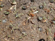 もっとちかづいたところ