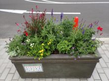 アカシア班のメンテナンス後