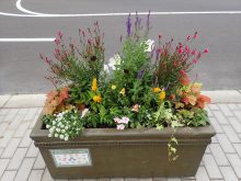 ゴールド班のメンテナンス後