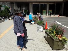 少し離れたところから見ているところ