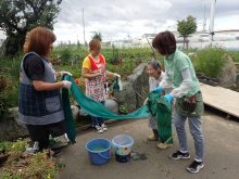 布をさらしているところ