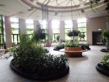 農試公園のサンルーム