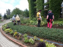 サンルームの前の花壇