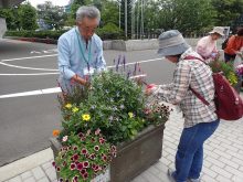 インパチェンス班のメンテナンスの様子