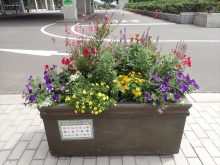 アカシア班の8月29日の最初の状態