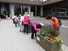 市役所前のメンテナンスの様子