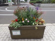 ゴールド班のコンテナ