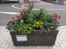 アカシア班のコンテナ