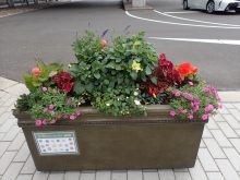 ラベンダー班のコンテナ