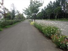 緑地帯周辺の様子