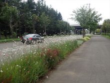 あいの里花クラブの活動場所