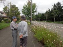 主に活動しているお二人