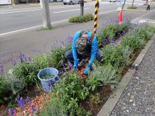 建物前の花壇の除草作業の様子