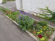 建物横の花壇の様子