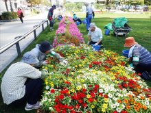 シーズネットの活動の様子