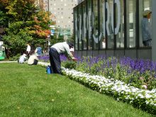 90歳の男性の作業の様子